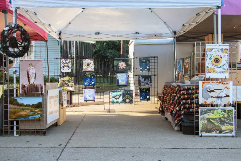 KittieCat’s Meow art and photography booth at the McKinney Farmers Market showcasing colorful nature prints and handmade designs.